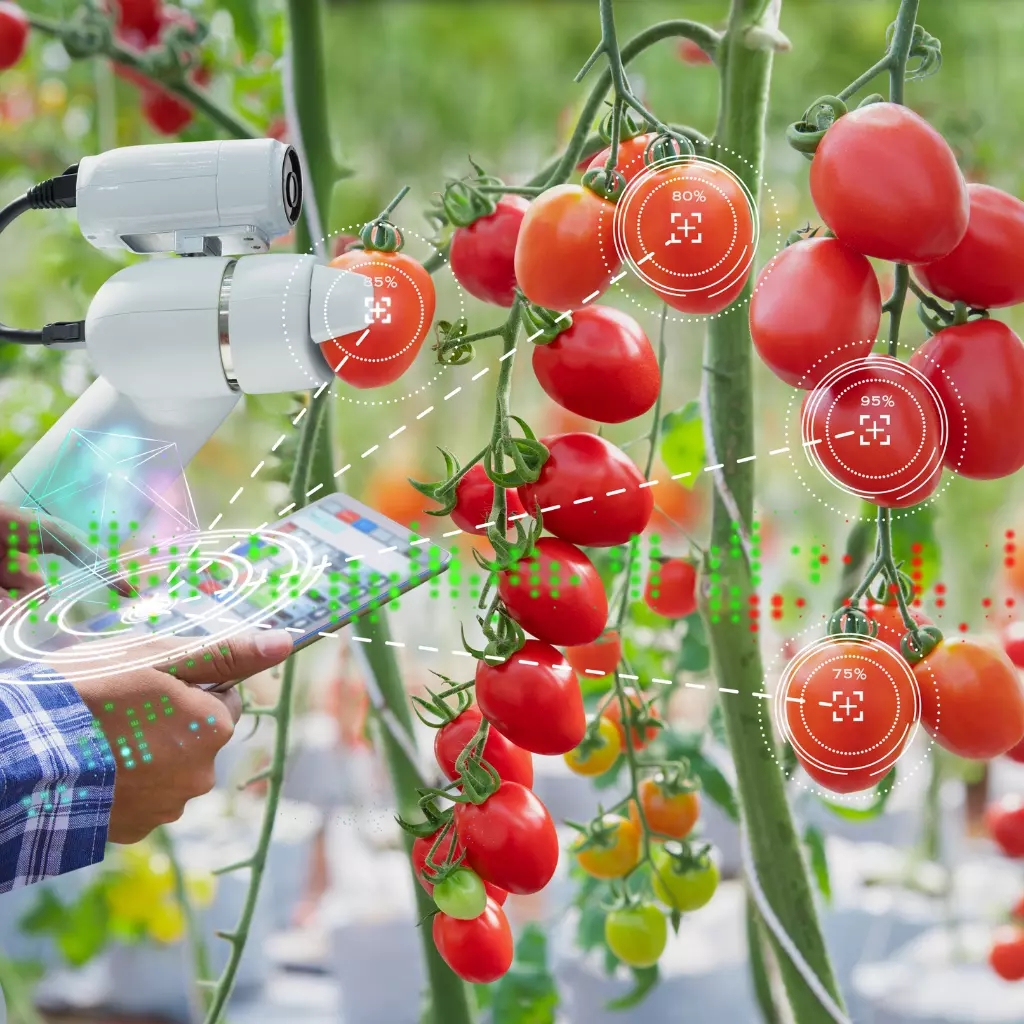 AI in Agriculture