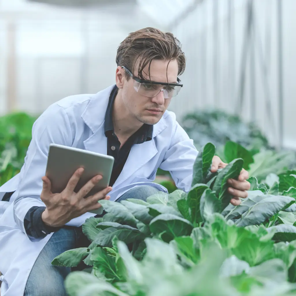 AI in Precision Agriculture