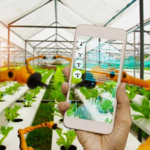 AI in Smart Agriculture