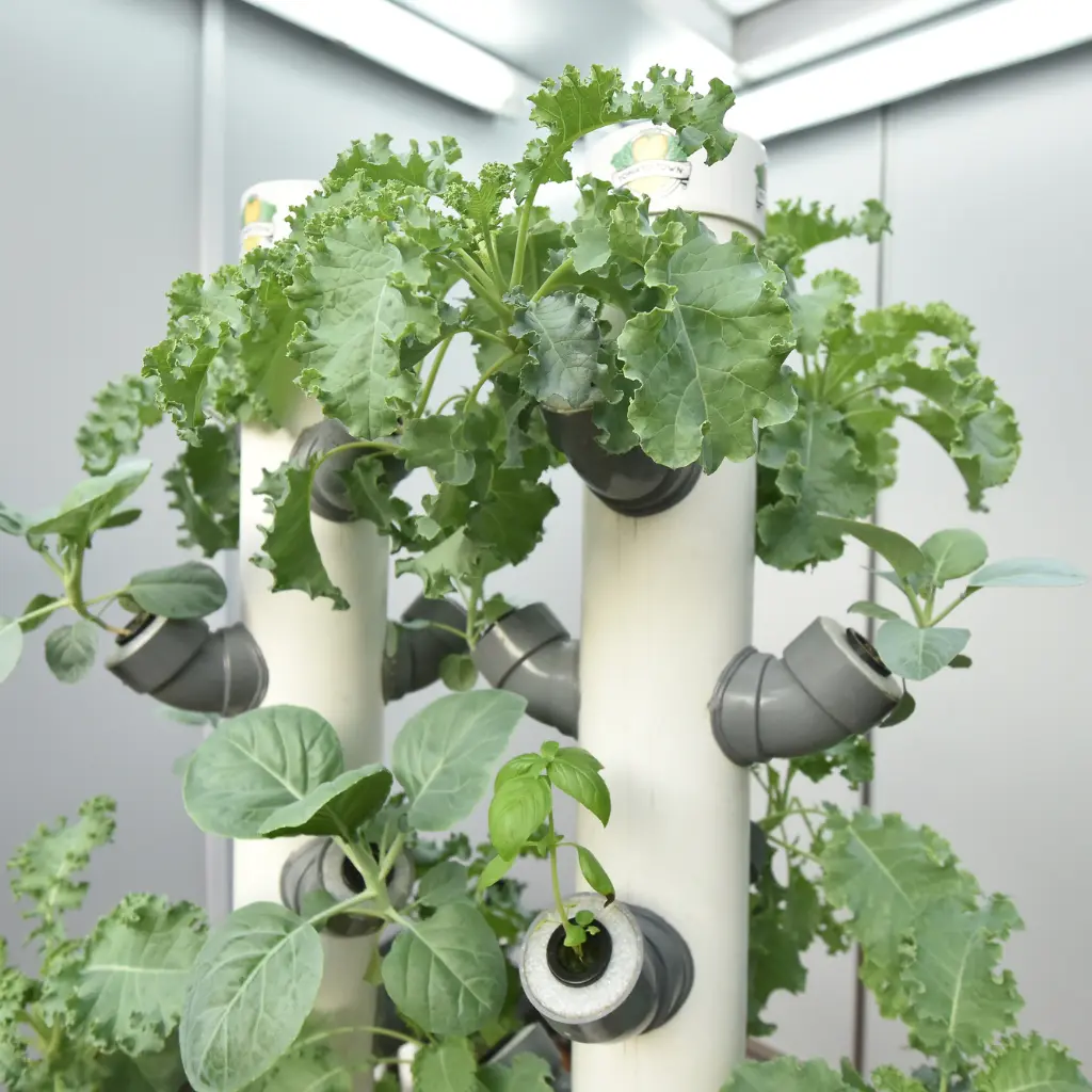 The AI Urban Farming Revolution