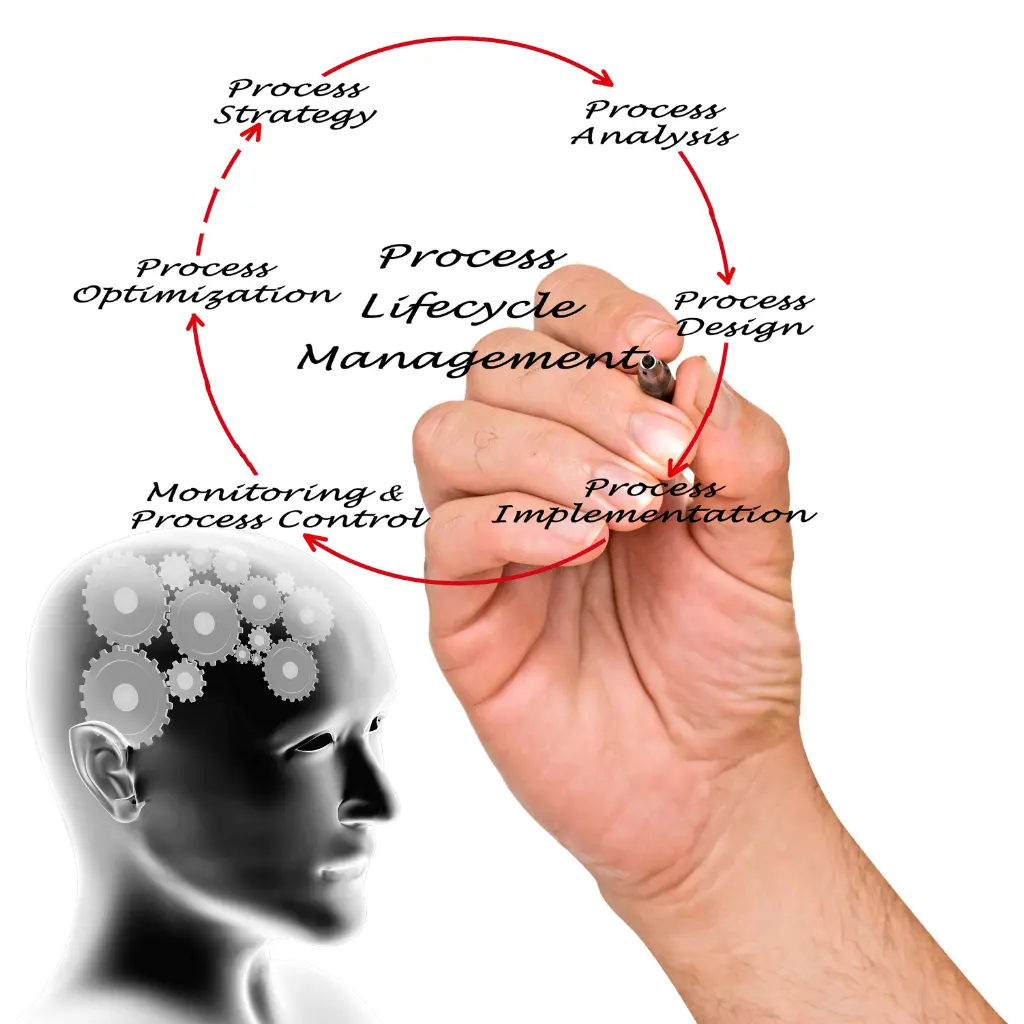 Understanding the Business Context of IPA